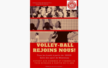 Rejoignez le Club de Volley-Ball de Montenay – Un esprit d'équipe, une passion commune !